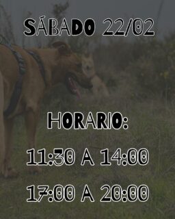 Hola chiques! 🌸

Perdón por el retraso, mañana estaremos abiertos en este horario 🫶🏼 

Nos vemos,

Muchas gracias a todes ❤️‍🩹

*Encuesta (si gana el sí, abrimos): 

¿𝗣𝗿𝗲𝗳𝗶𝗲𝗿𝗲𝘀 𝗮𝗽𝗲𝗿𝘁𝘂𝗿𝗮 𝗵𝗮𝘀𝘁𝗮 𝗹𝗮𝘀 𝟮𝟬:𝟯𝟬?